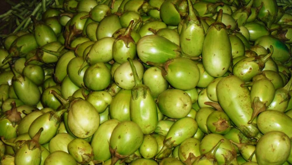 Brinjal(green)