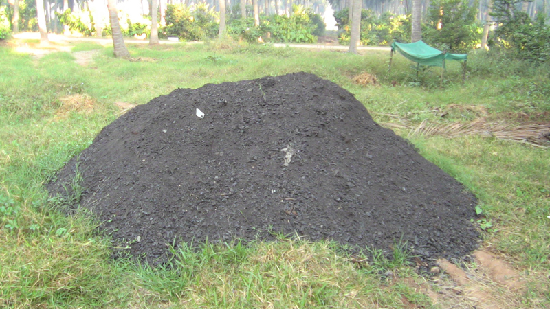 biochar composting 010