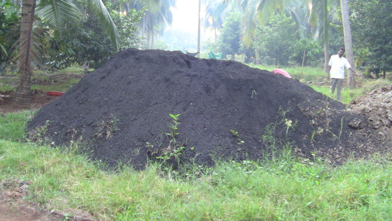 biochar composting 011