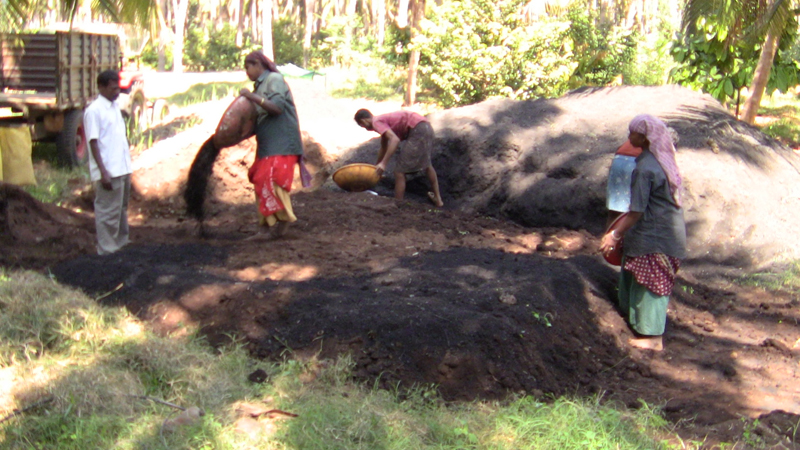 biochar composting 022