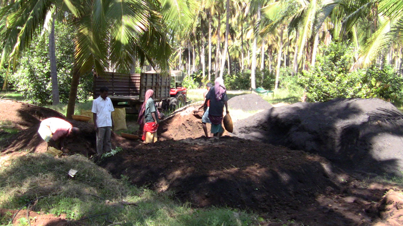 biochar composting 027