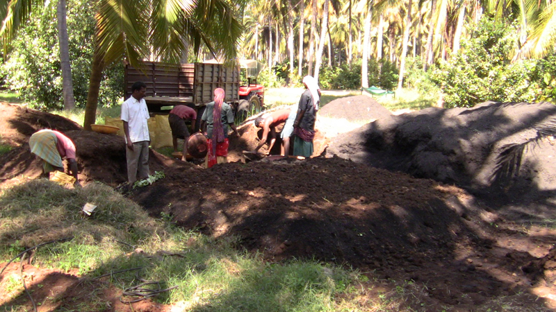 biochar composting 028