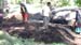 biochar composting 021