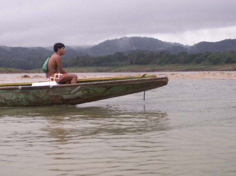 plank build canoes