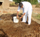 composting culture