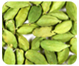 Cardamom