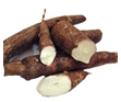 Cassava