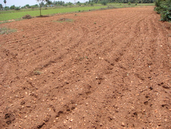 Land Preparation