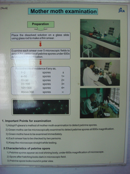 MotherMonth Examination Chart