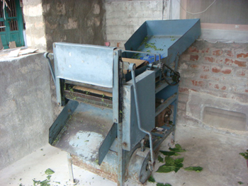 View of Leaf Cutting Machine