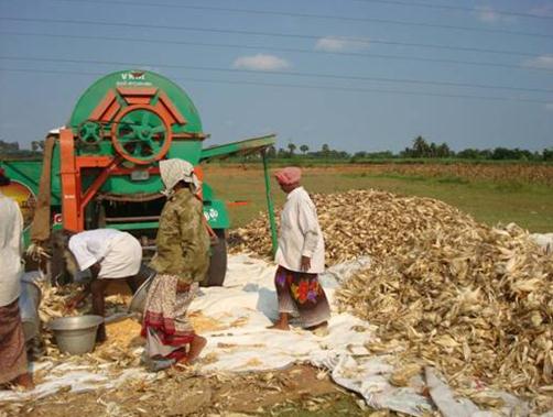 harvest