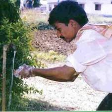 Weed Management Safety Measures