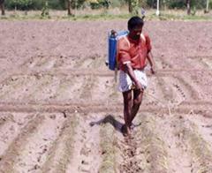 Agriculture Weed Management