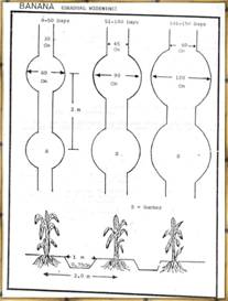 Soil and Water Conservation