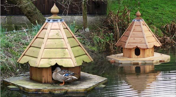 duck house_02