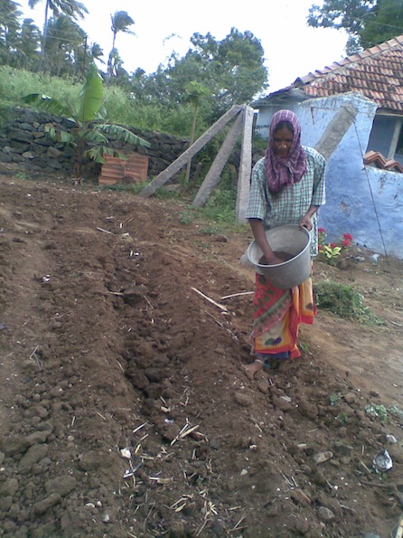 farm yard manure