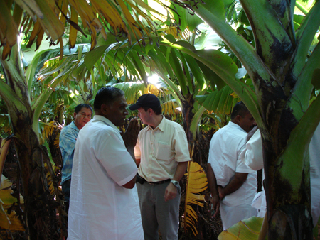 Dole buyers at Field