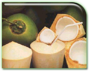 tender coconut