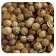 coriander