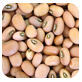 cow pea