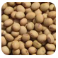 soyabean