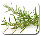 rosemary